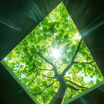 Fengshui Sound Bath -- Pure Nature Energy in a Song