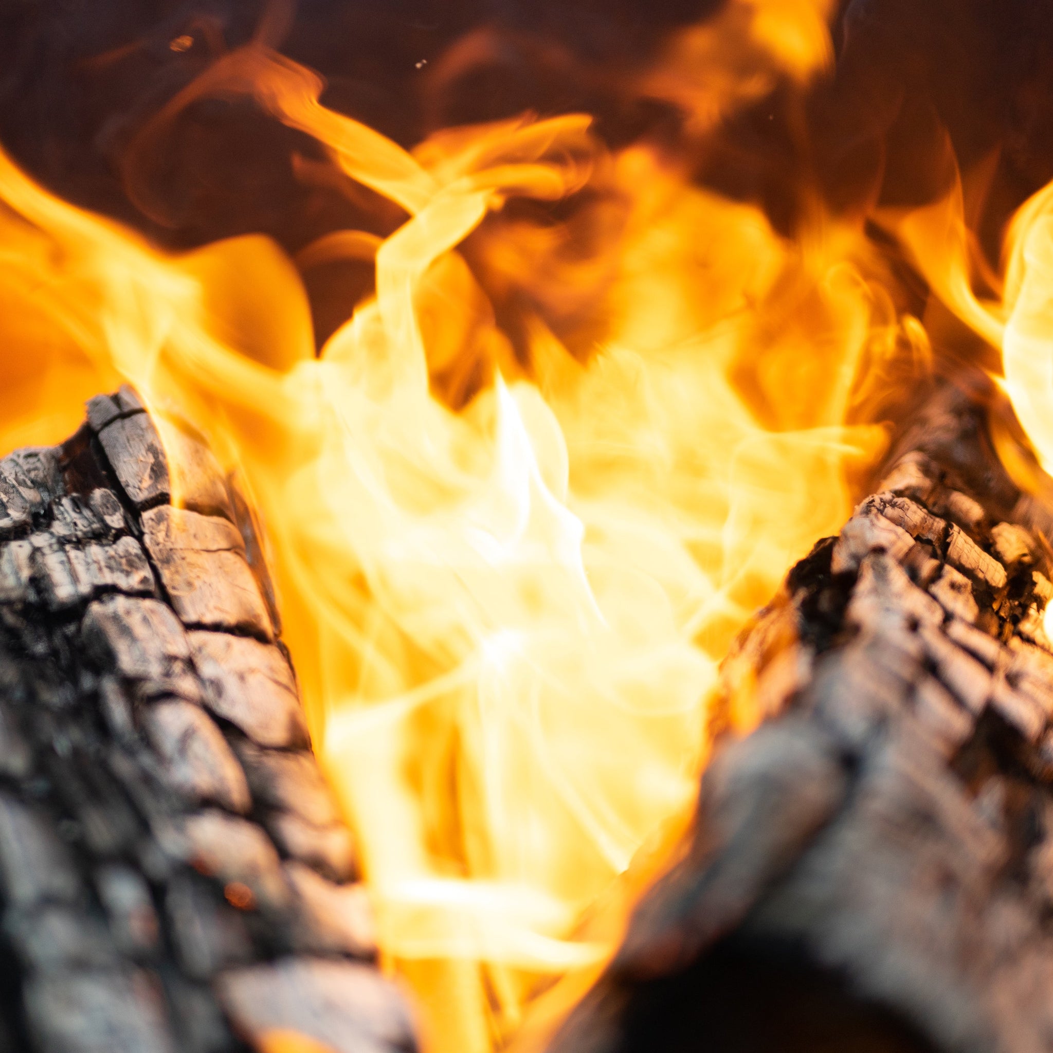 Fire Element